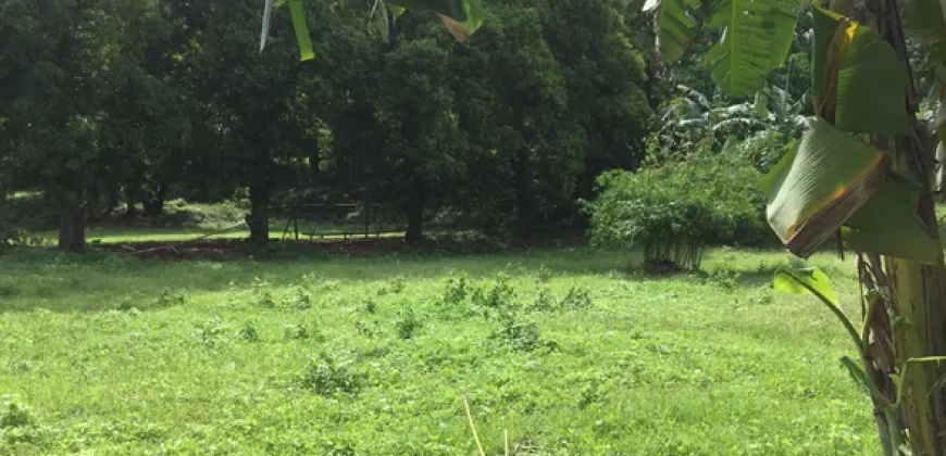 9 has of farm land Tuy, Batangas