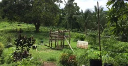9 has of farm land Tuy, Batangas
