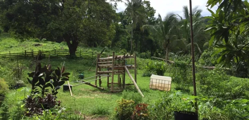 9 has of farm land Tuy, Batangas