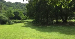 9 has of farm land Tuy, Batangas