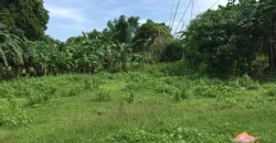 9 has of farm land Tuy, Batangas