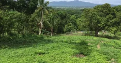 9 has of farm land Tuy, Batangas