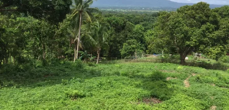 9 has of farm land Tuy, Batangas