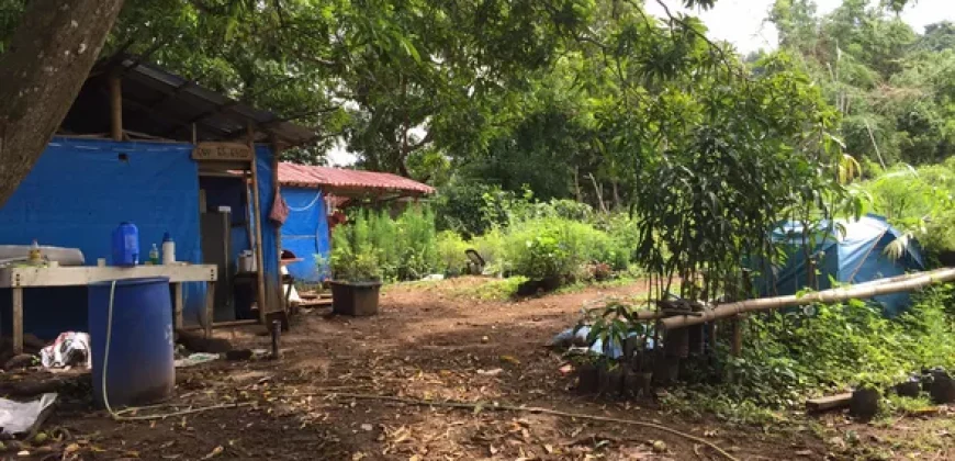 9 has of farm land Tuy, Batangas
