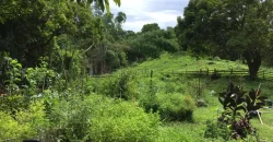 9 has of farm land Tuy, Batangas