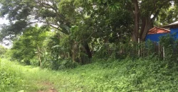 9 has of farm land Tuy, Batangas