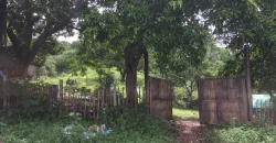 9 has of farm land Tuy, Batangas