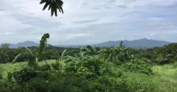 9 has of farm land Tuy, Batangas