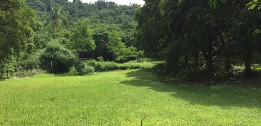 9 has of farm land Tuy, Batangas