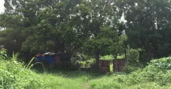 9 has of farm land Tuy, Batangas