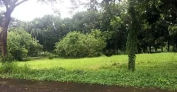Price down fr 29k to P21,000/sm : Wedgewoods, Residential lot in Silang, Cavite