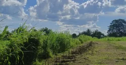 RUSH!! LOT FOR SALE ORMOC, LEYTE