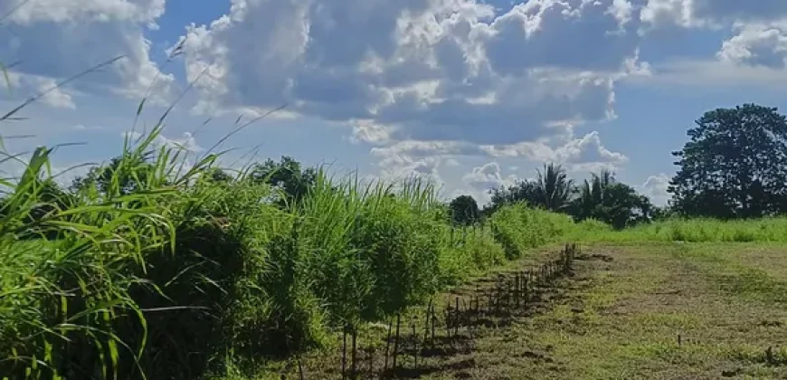 RUSH!! LOT FOR SALE ORMOC, LEYTE