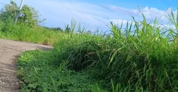 RUSH!! LOT FOR SALE ORMOC, LEYTE