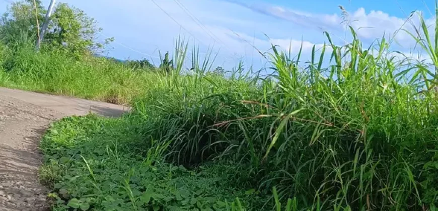 RUSH!! LOT FOR SALE ORMOC, LEYTE