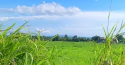 RUSH!! LOT FOR SALE ORMOC, LEYTE