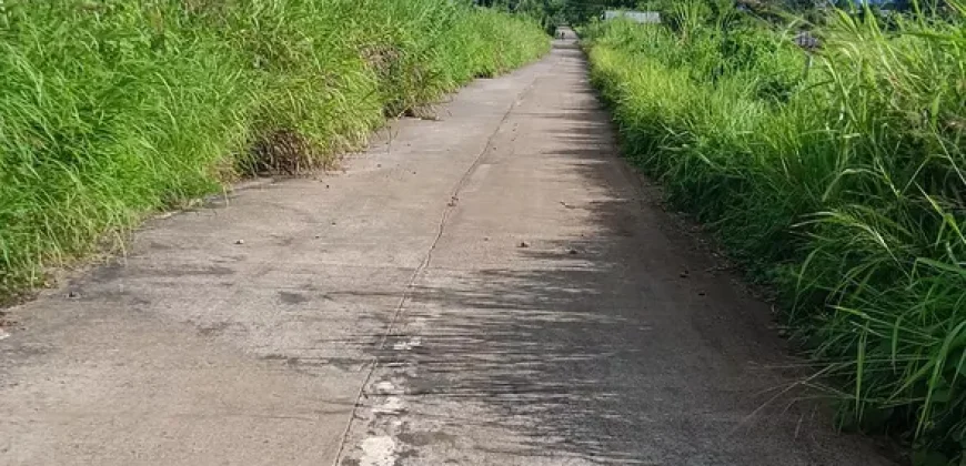 RUSH!! LOT FOR SALE ORMOC, LEYTE