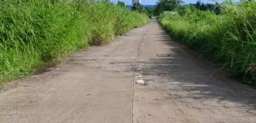 RUSH!! LOT FOR SALE ORMOC, LEYTE