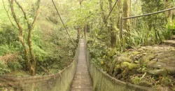 Rush sale! Canyon woods residential resort near Tagaytay