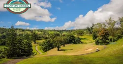 Rush sale! Canyon woods residential resort near Tagaytay
