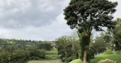 Rush sale! Canyon woods residential resort near Tagaytay