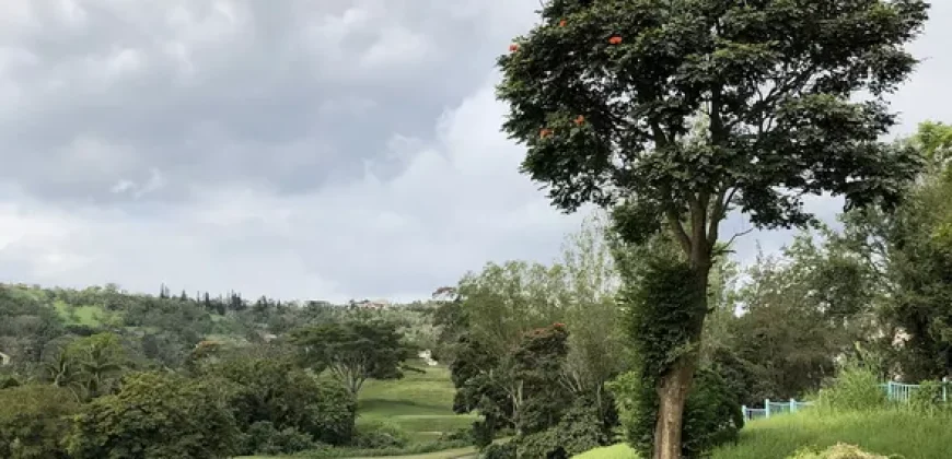 Rush sale! Canyon woods residential resort near Tagaytay
