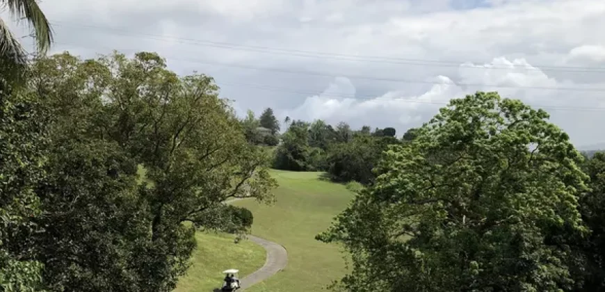 Rush sale! Canyon woods residential resort near Tagaytay